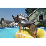 Image 7 of customer photos