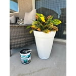 Image 6 of customer photos