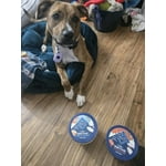 Image 7 of customer photos