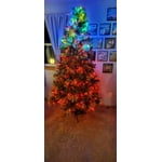 Image 7 of customer photos