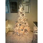 Image 6 of customer photos