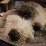 Image 3 of customer photos