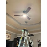 Image 6 of customer photos