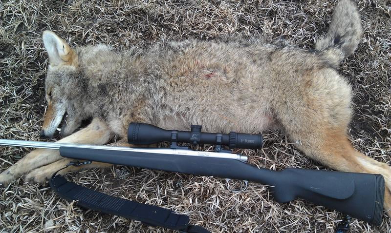 200344 Burris Fullfield E1 4 5 14x42mm Rifle Scope Long Range Moa Reticle Sporting Goods Hunting Rifle Scopes Romeinformation It