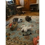 Image 1 of customer photos