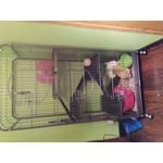 Image 5 of customer photos