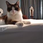 Image 6 of customer photos