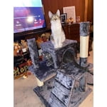 Image 1 of customer photos