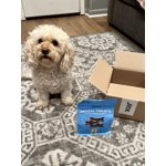 Image 6 of customer photos