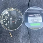 Image 6 of customer photos