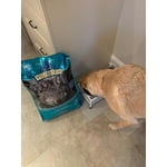 Image 5 of customer photos