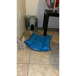 Image 2 of customer photos