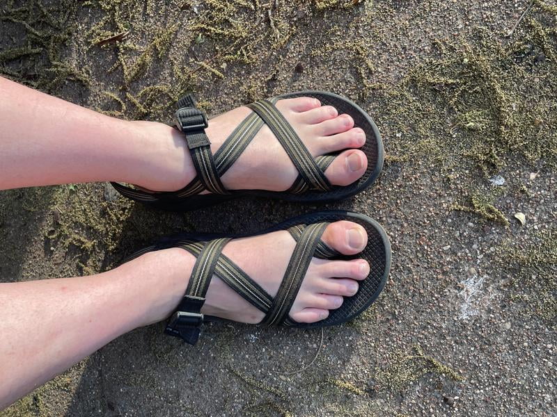 Chaco Z/2 Adjustable Strap Classic Sandal Men Scoop Nugget