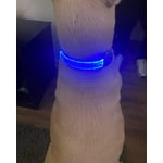 Image 3 of customer photos