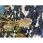 Image 6 of customer photos