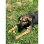 Image 3 of customer photos