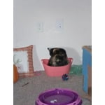 Image 7 of customer photos