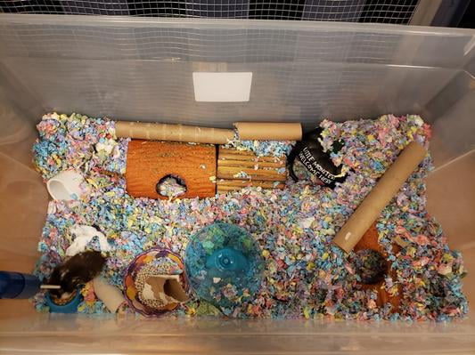 sterilite 200 qt walmart