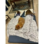 Image 4 of customer photos