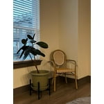 Image 7 of customer photos