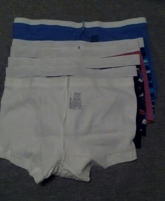 hanes womens boxers