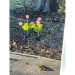 Image 5 of customer photos