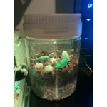 Image 5 of customer photos