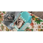 Image 5 of customer photos