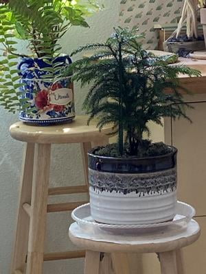 Better Homes & Gardens Nikolaos Round Ceramic Plant Planter, Black