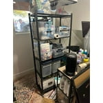 Image 3 of customer photos