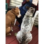 Image 1 of customer photos