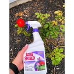 Image 7 of customer photos