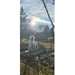 Image 1 of customer photos