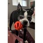 Image 4 of customer photos