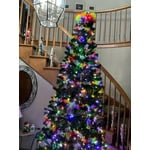 Image 2 of customer photos