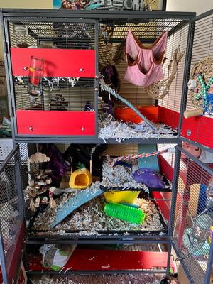 Customer reviews for Midwest Deluxe Critter Nation Single Unit