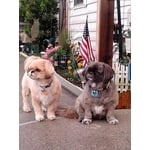 Image 1 of customer photos