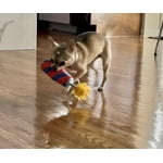 Image 2 of customer photos