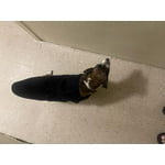 Image 6 of customer photos