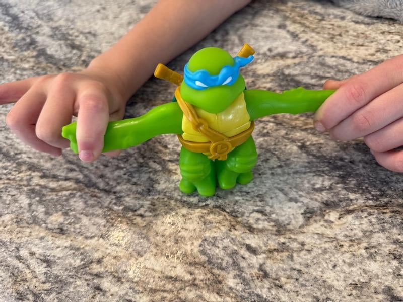 Heroes of Goo Jit Zu Teenage Mutant Ninja Turtles Leonardo Action