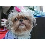 Image 5 of customer photos