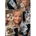 Image 5 of customer photos