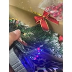 Image 6 of customer photos