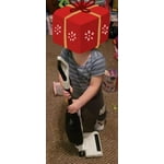 Image 5 of customer photos