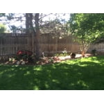 Image 1 of customer photos