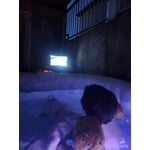 Image 6 of customer photos