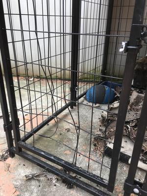 lucky dog pet kennel