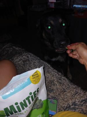 minties dog treats reviews