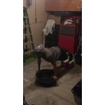 Image 2 of customer photos