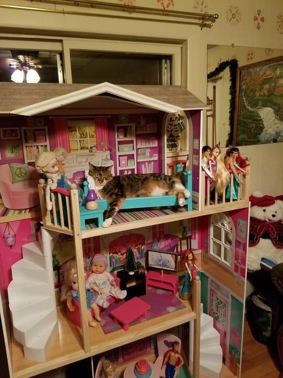 kidkraft 18 inch doll house